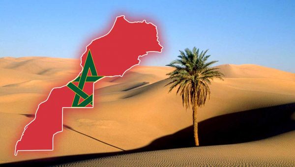 المكتب العام بهولندا التابع للمنظمة المغربية لدعم الحكم الذاتي بالصحراء المغربية يدين استقبال غالي في تونس