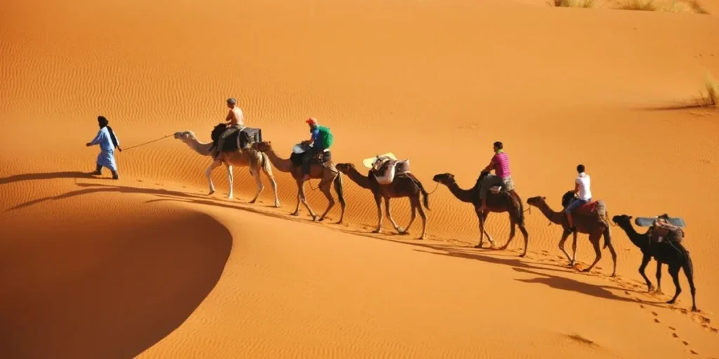 عدد السياح الوافدين خلال الأشهر الأربعة الأولى من 2023 بلغ 4 ملايين (عمور)