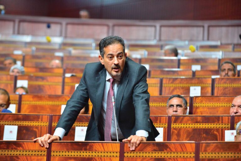 من وهم الاستوزار إلى لجنة المالية.. الوجهة الجديدة للمهاجري